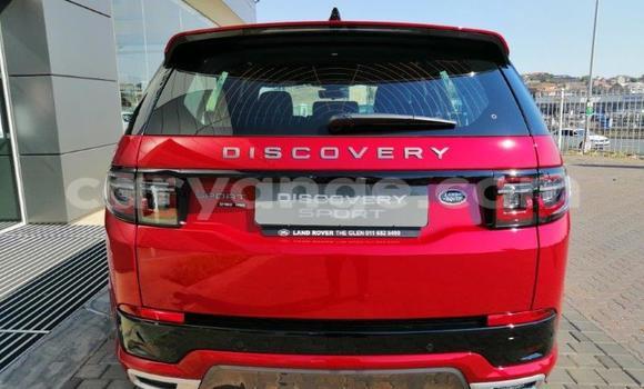 Acheter Occasion Voiture Land Rover Discovery Sport Rouge à Windhoek, Namibie Acheter Occasion Voiture Land Rover Discovery Sport Rouge à Windhoek, Namibie