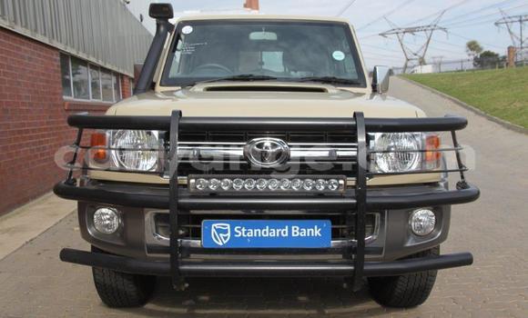 Buy Used Toyota Land Cruiser Other Car in Windhoek in Namibia