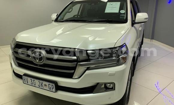 Buy Used Toyota Land Cruiser White Car in Henties Bay in Erongo Buy Used Toyota Land Cruiser White Car in Henties Bay in Erongo