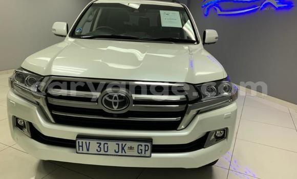 Buy Used Toyota Land Cruiser White Car in Henties Bay in Erongo Buy Used Toyota Land Cruiser White Car in Henties Bay in Erongo