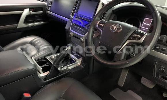 Buy Used Toyota Land Cruiser White Car in Henties Bay in Erongo Buy Used Toyota Land Cruiser White Car in Henties Bay in Erongo