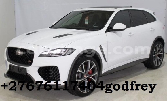 Buy Used Jaguar F-Pace White Car in Windhoek in Namibia