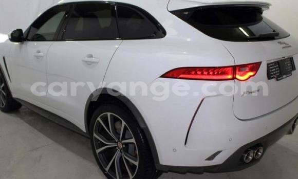 Buy Used Jaguar F-Pace White Car in Windhoek in Namibia Buy Used Jaguar F-Pace White Car in Windhoek in Namibia