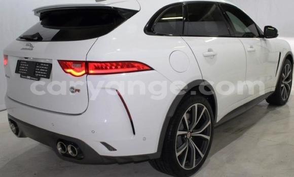 Buy Used Jaguar F-Pace White Car in Windhoek in Namibia Buy Used Jaguar F-Pace White Car in Windhoek in Namibia