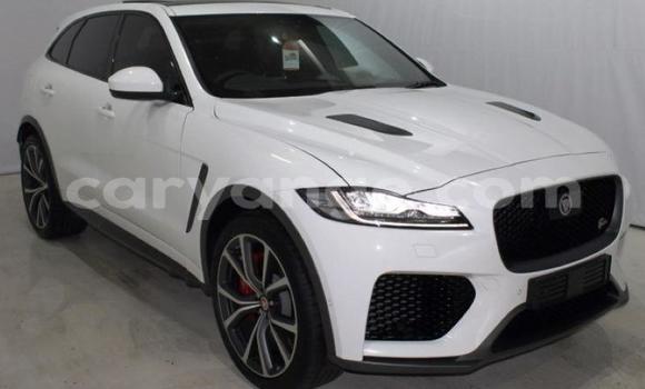 Buy Used Jaguar F-Pace White Car in Windhoek in Namibia Buy Used Jaguar F-Pace White Car in Windhoek in Namibia