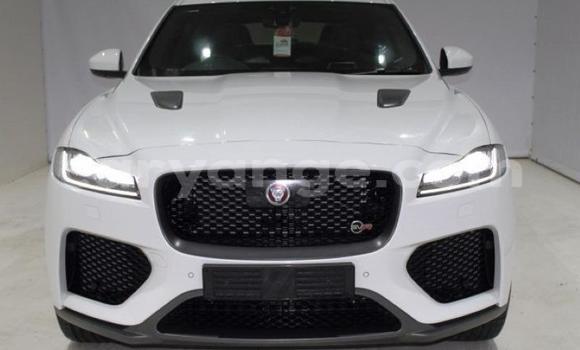 Buy Used Jaguar F-Pace White Car in Windhoek in Namibia Buy Used Jaguar F-Pace White Car in Windhoek in Namibia