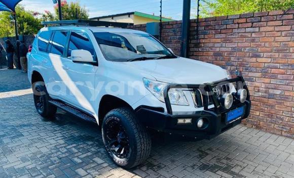 Buy Used Toyota Land Cruiser Prado White Car in Walvis Bay in Namibia