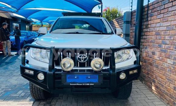 Buy Used Toyota Land Cruiser Prado White Car in Walvis Bay in Namibia Buy Used Toyota Land Cruiser Prado White Car in Walvis Bay in Namibia