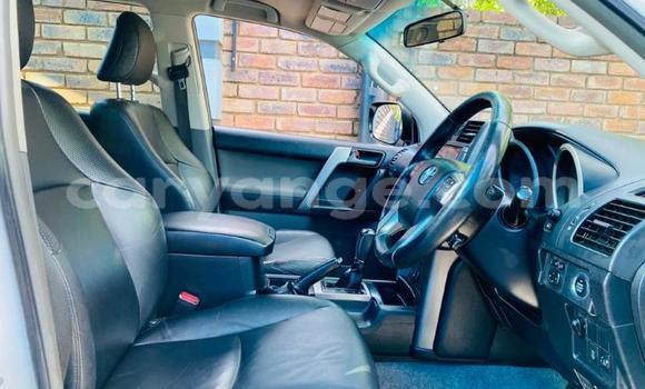 Buy Used Toyota Land Cruiser Prado White Car in Walvis Bay in Namibia Buy Used Toyota Land Cruiser Prado White Car in Walvis Bay in Namibia