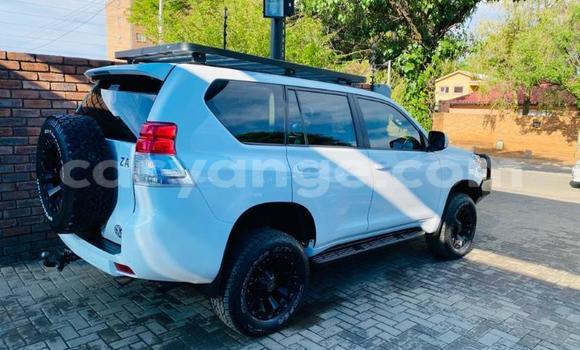Buy Used Toyota Land Cruiser Prado White Car in Walvis Bay in Namibia Buy Used Toyota Land Cruiser Prado White Car in Walvis Bay in Namibia