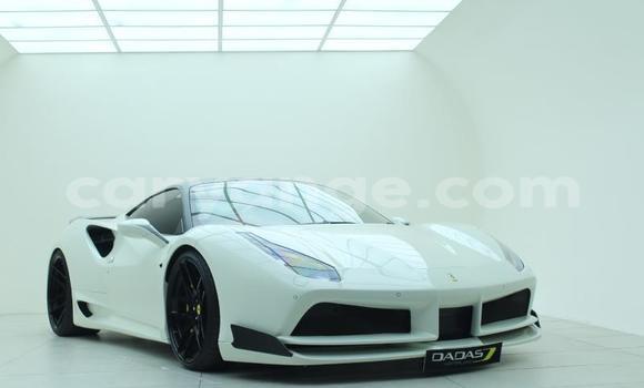 Buy Used Ferrari 488 White Car in Aranos in Hardap Buy Used Ferrari 488 White Car in Aranos in Hardap