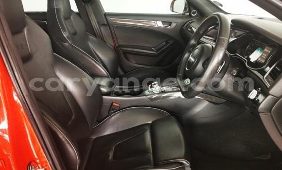 Buy Used Audi RS4 Red Car in Rundu in Namibia Buy Used Audi RS4 Red Car in Rundu in Namibia