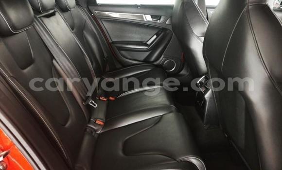 Buy Used Audi RS4 Red Car in Rundu in Namibia Buy Used Audi RS4 Red Car in Rundu in Namibia