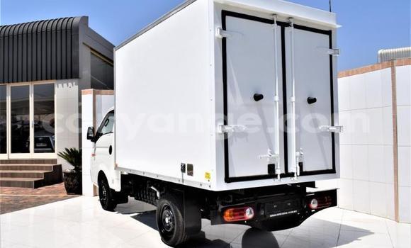 Buy Used Hyundai H200 White Car in Windhoek in Namibia Buy Used Hyundai H200 White Car in Windhoek in Namibia