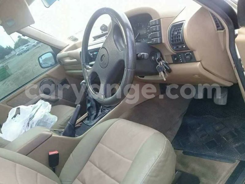 Big with watermark 30705011 1080215435450894 1812932972978896896 n