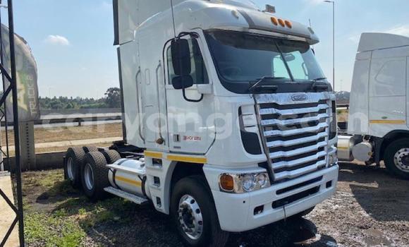 Buy Used Freightliner 90 Cum 500 White Truck in Windhoek in Namibia