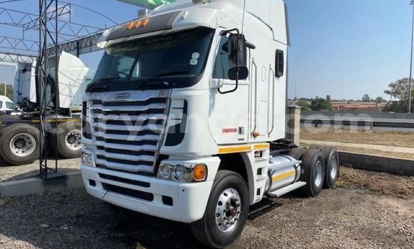 Buy Used Freightliner 90 Cum 500 White Truck in Windhoek in Namibia Buy Used Freightliner 90 Cum 500 White Truck in Windhoek in Namibia