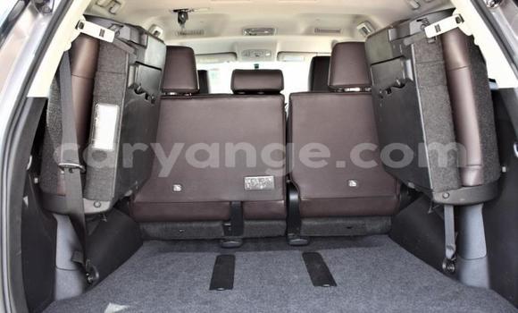 Acheter Occasion Voiture Toyota Fortuner Beige à Windhoek, Namibie Acheter Occasion Voiture Toyota Fortuner Beige à Windhoek, Namibie