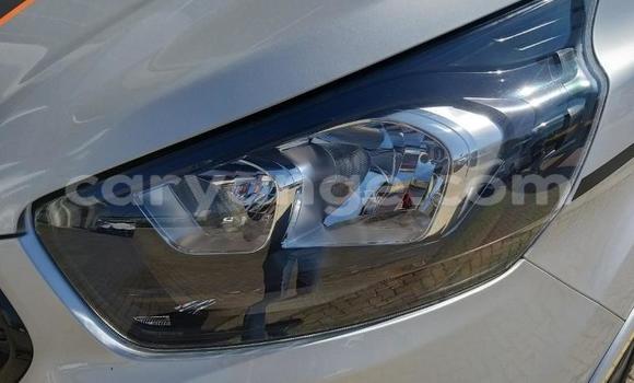 Acheter Occasion Voiture Ford Tourneo Courier Autre à Karasburg, Karas Acheter Occasion Voiture Ford Tourneo Courier Autre à Karasburg, Karas