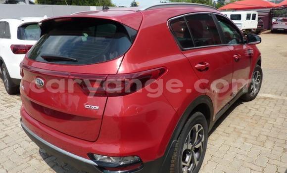 Buy Used Kia Sportage Red Car in Windhoek in Namibia Buy Used Kia Sportage Red Car in Windhoek in Namibia