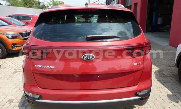 Buy Used Kia Sportage Red Car in Windhoek in Namibia Buy Used Kia Sportage Red Car in Windhoek in Namibia