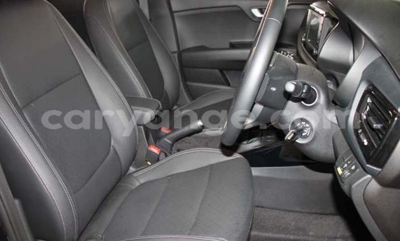 Buy Used Kia Rio Silver Car in Windhoek in Namibia Buy Used Kia Rio Silver Car in Windhoek in Namibia