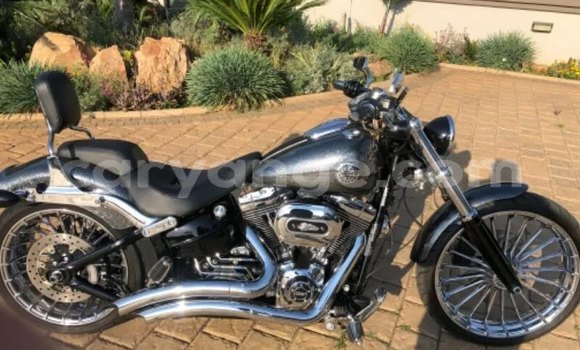 Buy Used Harley Davidson Softail Black Bike in Windhoek in Namibia Buy Used Harley Davidson Softail Black Bike in Windhoek in Namibia