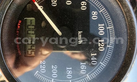 Buy Used Harley Davidson Softail Black Bike in Windhoek in Namibia Buy Used Harley Davidson Softail Black Bike in Windhoek in Namibia