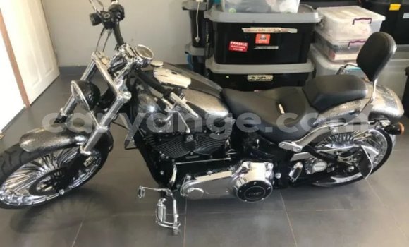 Buy Used Harley Davidson Softail Black Bike in Windhoek in Namibia Buy Used Harley Davidson Softail Black Bike in Windhoek in Namibia