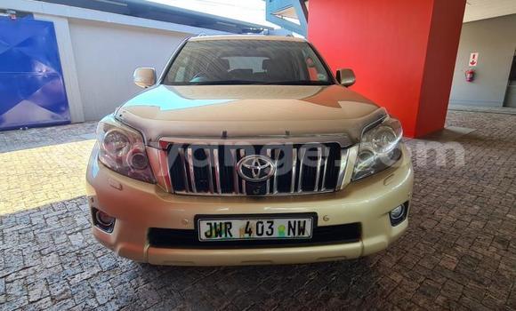 Buy Used Toyota Land Cruiser Prado Other Car in Windhoek in Namibia