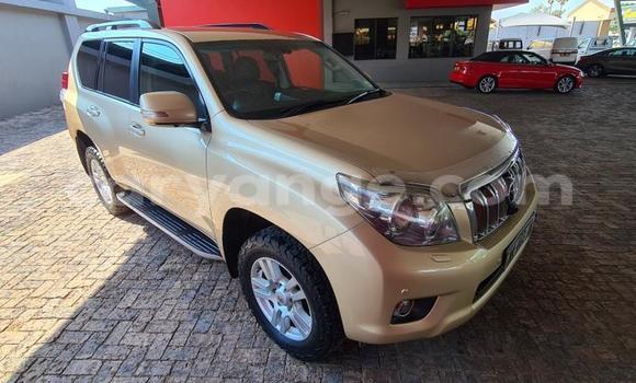 Acheter Occasion Voiture Toyota Land Cruiser Prado Autre à Windhoek, Namibie Acheter Occasion Voiture Toyota Land Cruiser Prado Autre à Windhoek, Namibie