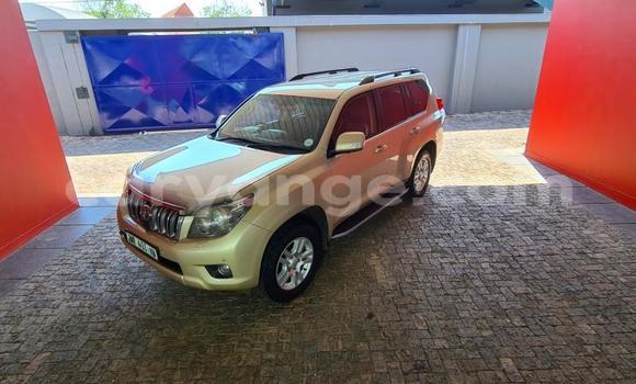 Acheter Occasion Voiture Toyota Land Cruiser Prado Autre à Windhoek, Namibie Acheter Occasion Voiture Toyota Land Cruiser Prado Autre à Windhoek, Namibie