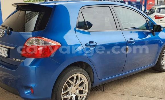 Buy Used Toyota Auris Blue Car in Walvis Bay in Namibia Buy Used Toyota Auris Blue Car in Walvis Bay in Namibia