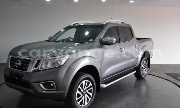 Buy Used Nissan Navara Silver Car in Swakopmund in Namibia Buy Used Nissan Navara Silver Car in Swakopmund in Namibia