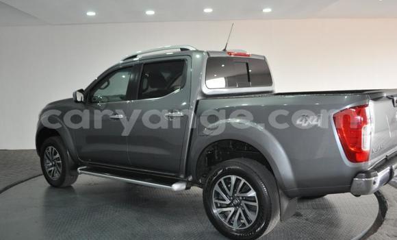 Buy Used Nissan Navara Silver Car in Swakopmund in Namibia Buy Used Nissan Navara Silver Car in Swakopmund in Namibia