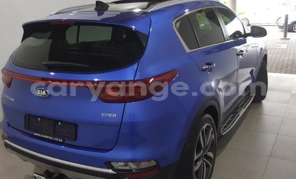 Buy Used Kia Sportage Blue Car in Kuisebmond in Erongo Buy Used Kia Sportage Blue Car in Kuisebmond in Erongo