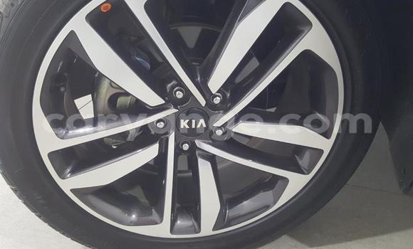 Buy Used Kia Sportage Blue Car in Kuisebmond in Erongo Buy Used Kia Sportage Blue Car in Kuisebmond in Erongo