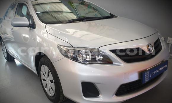 Acheter Occasion Voiture Toyota Corolla Gris à Windhoek, Namibie Acheter Occasion Voiture Toyota Corolla Gris à Windhoek, Namibie