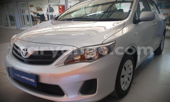 Acheter Occasion Voiture Toyota Corolla Gris à Windhoek, Namibie Acheter Occasion Voiture Toyota Corolla Gris à Windhoek, Namibie