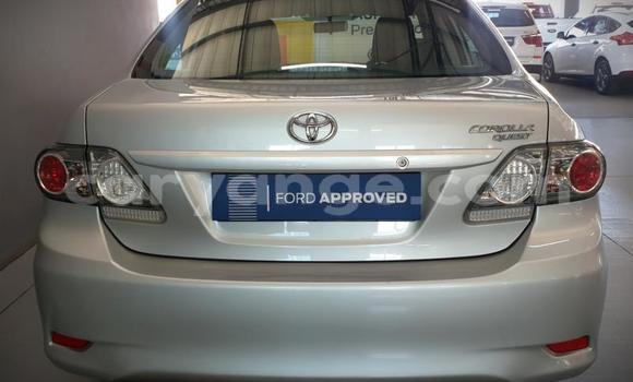 Acheter Occasion Voiture Toyota Corolla Gris à Windhoek, Namibie Acheter Occasion Voiture Toyota Corolla Gris à Windhoek, Namibie