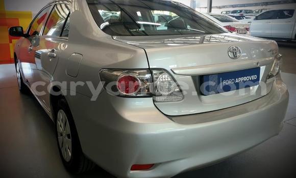 Acheter Occasion Voiture Toyota Corolla Gris à Windhoek, Namibie Acheter Occasion Voiture Toyota Corolla Gris à Windhoek, Namibie