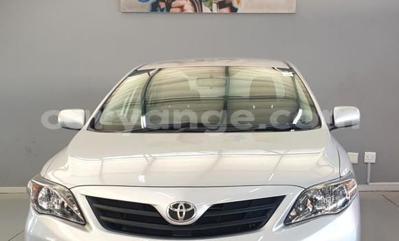 Acheter Occasion Voiture Toyota Corolla Gris à Windhoek, Namibie Acheter Occasion Voiture Toyota Corolla Gris à Windhoek, Namibie