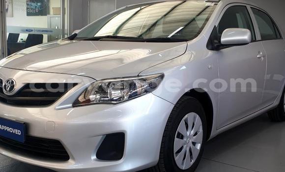 Acheter Occasion Voiture Toyota Corolla Gris à Windhoek, Namibie Acheter Occasion Voiture Toyota Corolla Gris à Windhoek, Namibie