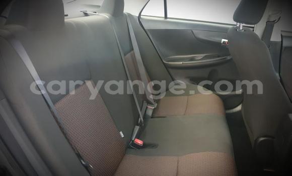 Acheter Occasion Voiture Toyota Corolla Gris à Windhoek, Namibie Acheter Occasion Voiture Toyota Corolla Gris à Windhoek, Namibie