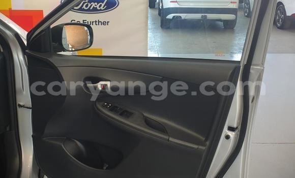 Acheter Occasion Voiture Toyota Corolla Gris à Windhoek, Namibie Acheter Occasion Voiture Toyota Corolla Gris à Windhoek, Namibie