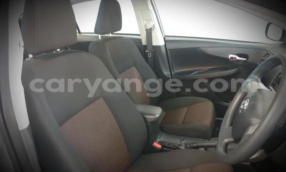 Acheter Occasion Voiture Toyota Corolla Gris à Windhoek, Namibie Acheter Occasion Voiture Toyota Corolla Gris à Windhoek, Namibie