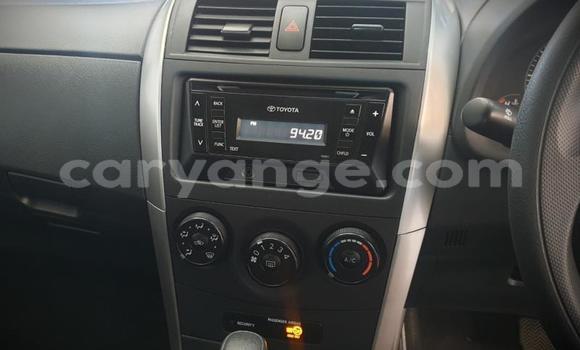 Acheter Occasion Voiture Toyota Corolla Gris à Windhoek, Namibie Acheter Occasion Voiture Toyota Corolla Gris à Windhoek, Namibie