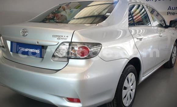 Acheter Occasion Voiture Toyota Corolla Gris à Windhoek, Namibie Acheter Occasion Voiture Toyota Corolla Gris à Windhoek, Namibie