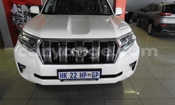 Buy Used Toyota Land Cruiser Prado White Car in Grootfontein in Namibia