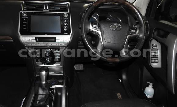 Acheter Occasion Voiture Toyota Land Cruiser Prado Blanc à Grootfontein, Namibie Acheter Occasion Voiture Toyota Land Cruiser Prado Blanc à Grootfontein, Namibie